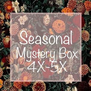 NEW! Women’s Seasonal Mystery Box Size 4X 5X Clothing Variety Bundle